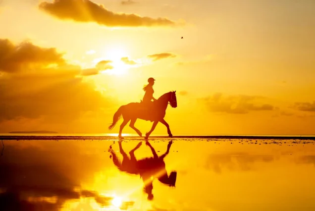 Beach Horse Riding Experience With Transfer