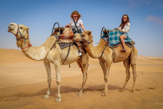 Dubai Desert Safari with BBQ Dinner Camel Ride