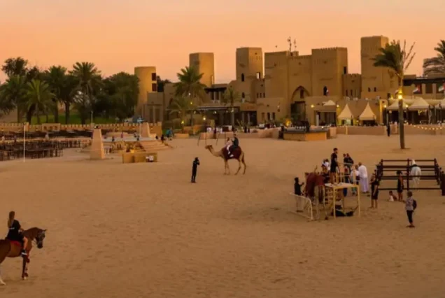 Evening Safari With VIP Sahara Desert Fortress