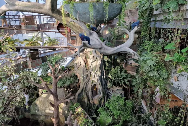 The Green Planet Dubai