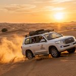 Dubai Conservation Desert Safari